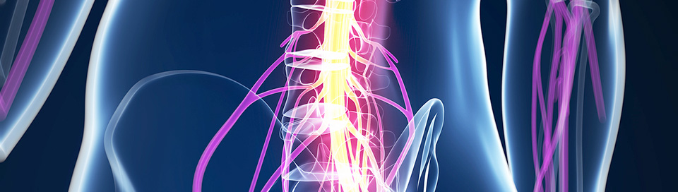 脊柱菅狭窄症の治療